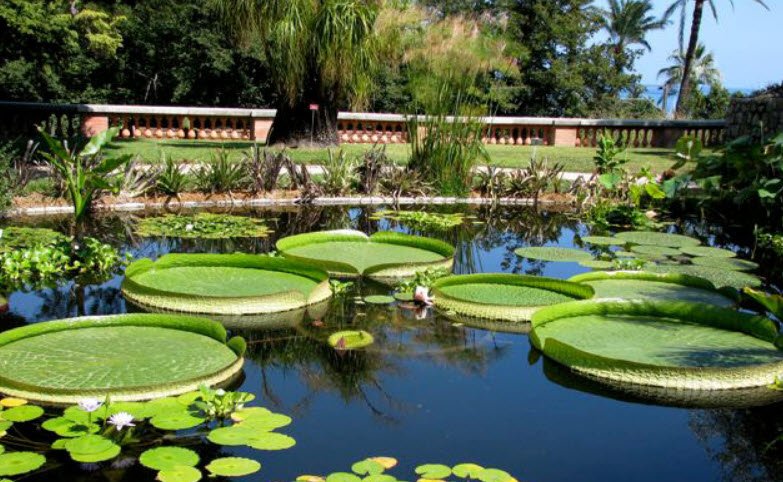 Jardin botanique Val Rahmeh-Menton, Menton, France, France